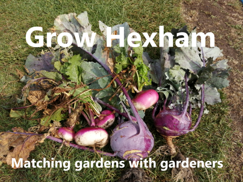 Grow Hexham needs your support – please donate now!